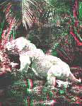 Pareiosaurus baini